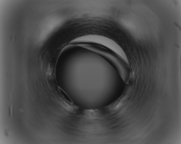 X0000091720239200709071443