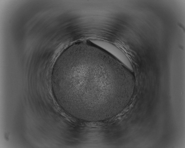 X0000091720241200709071442