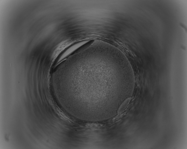 X0000091720242200709071442