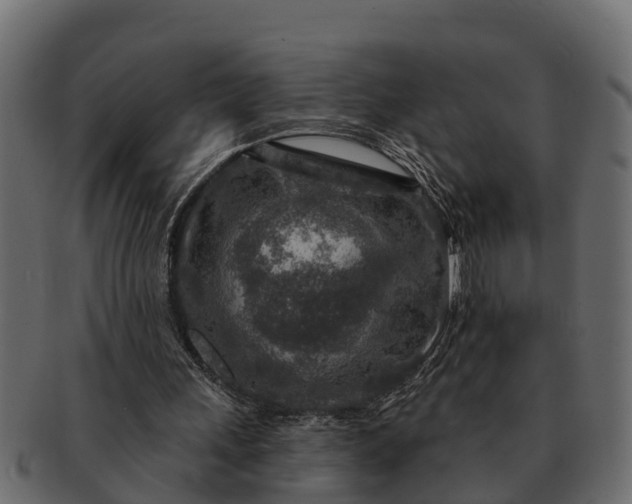 X0000091720243200709071442