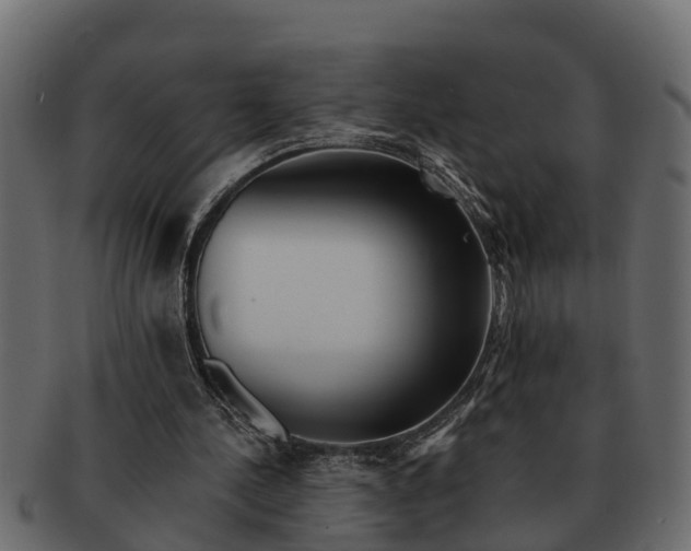 X0000091720244200709071442