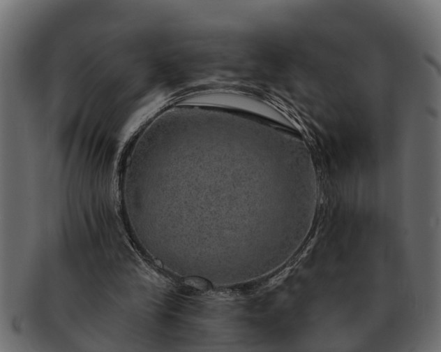 X0000091720245200709071442