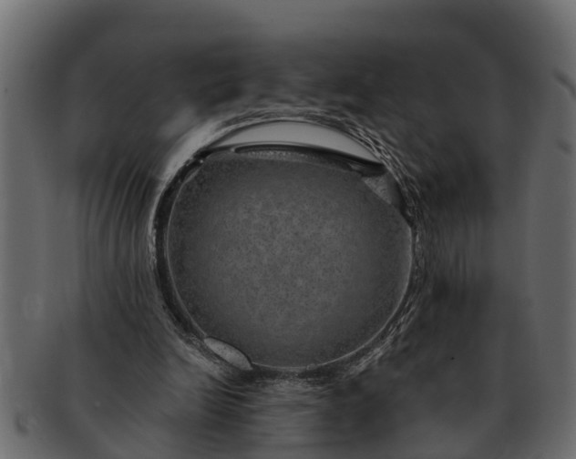 X0000091720246200709071442