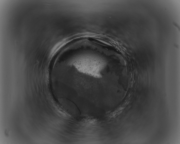 X0000091720247200709071442