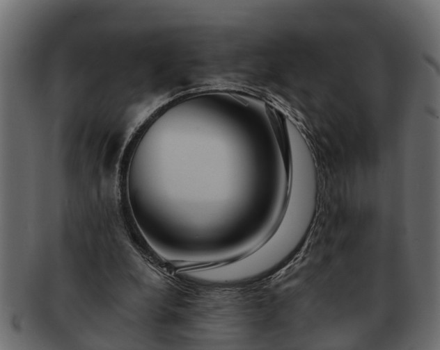 X0000091720248200709071442