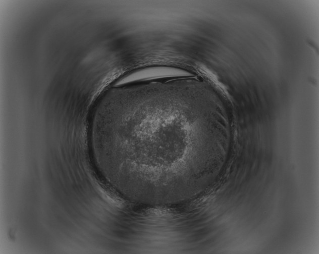 X0000091720250200709071442