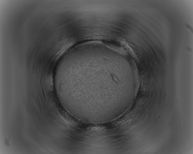 X0000091720251200709071442