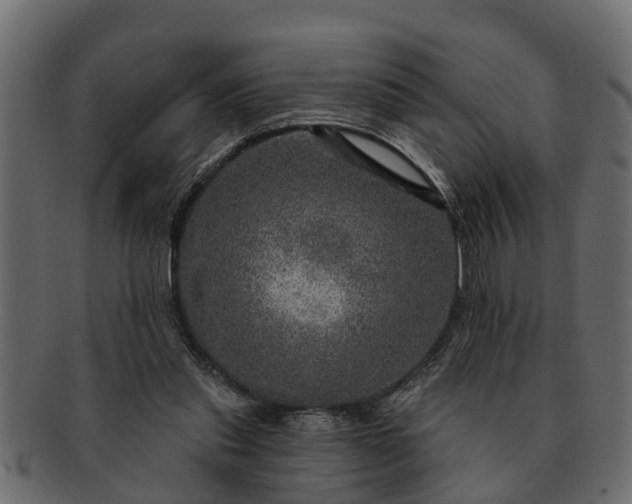 X0000091720253200709071442