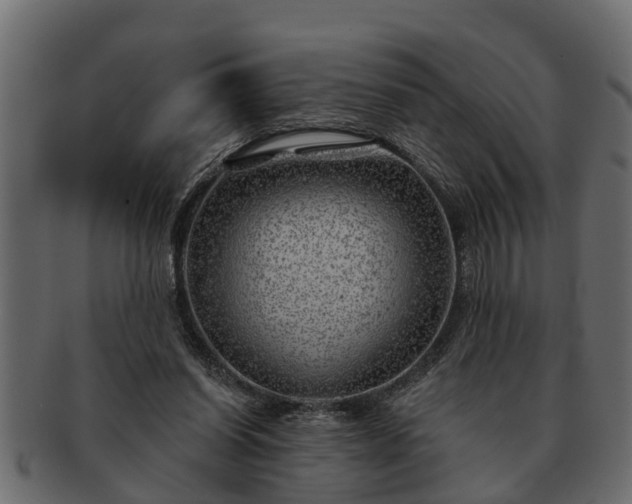 X0000091720254200709071442