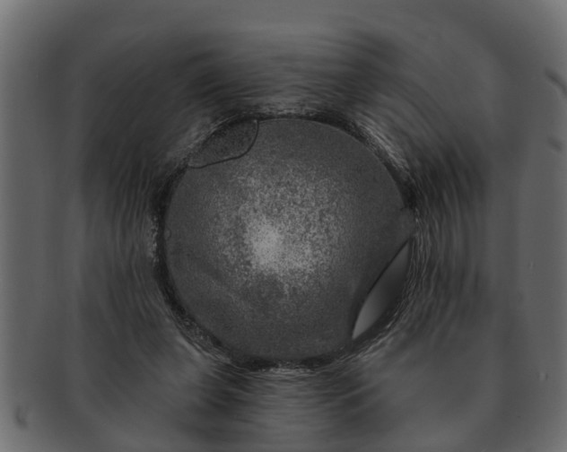 X0000091720255200709071442