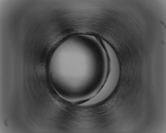 X0000091720256200709071442