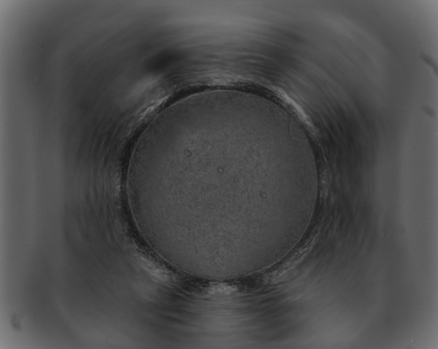 X0000091720257200709071442