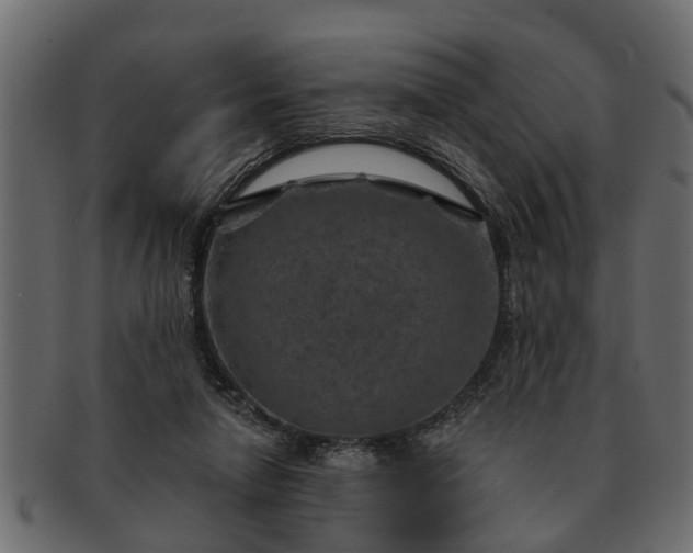 X0000091720258200709071443