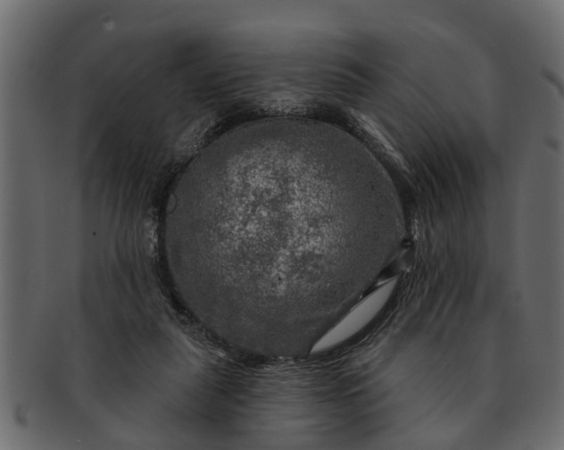 X0000091720259200709071443