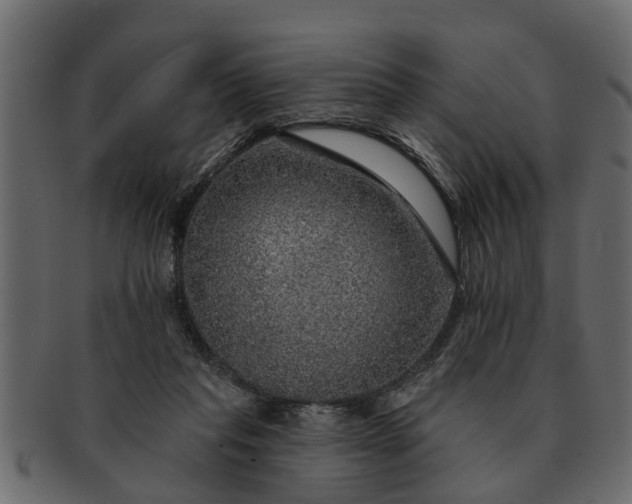 X0000091720261200709071443