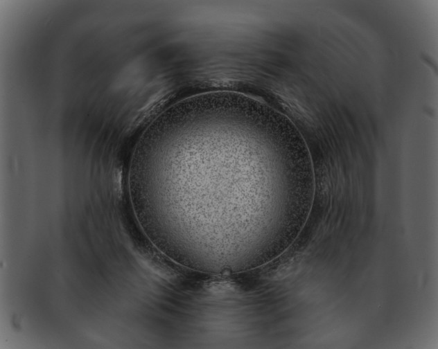 X0000091720262200709071443