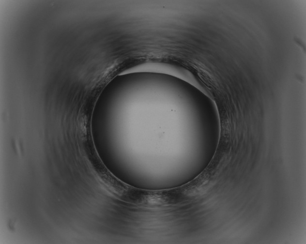 X0000091720264200709071443