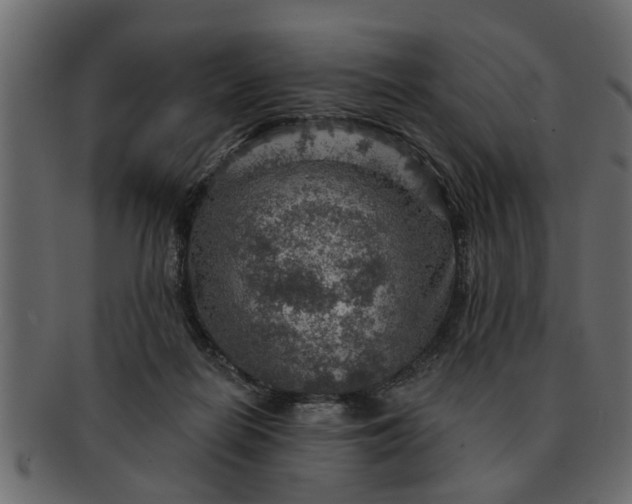 X0000091720266200709071443