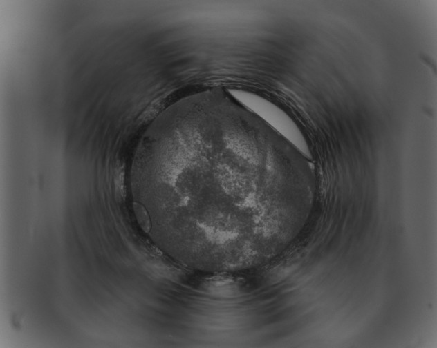 X0000091720267200709071443