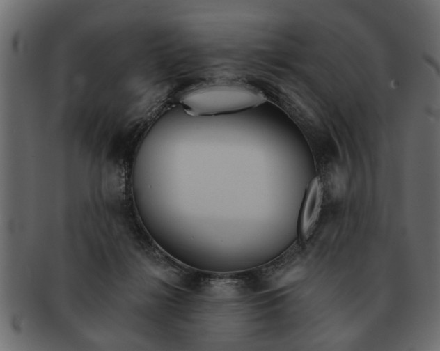 X0000091720268200709071443