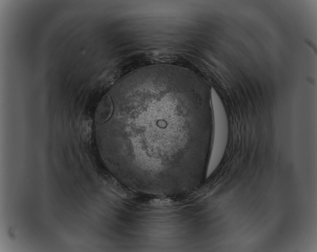 X0000091720271200709071443