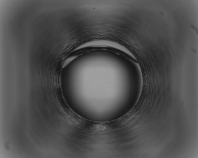 X0000091720272200709071443