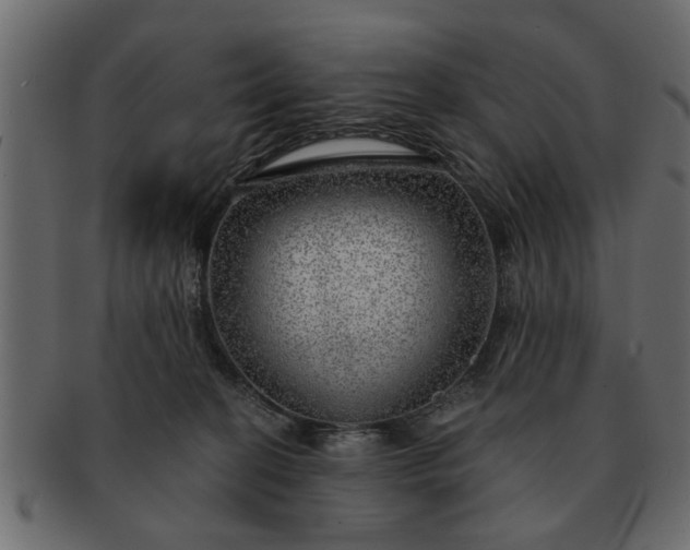 X0000091720274200709071443