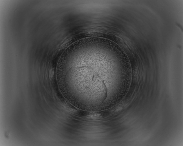 X0000091720278200709071443