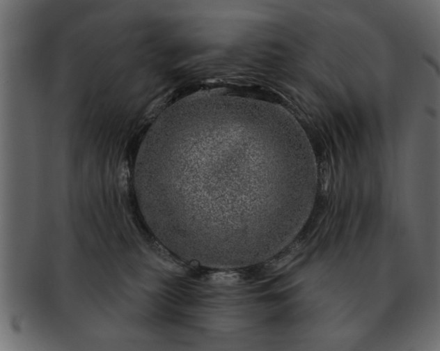 X0000091720279200709071443