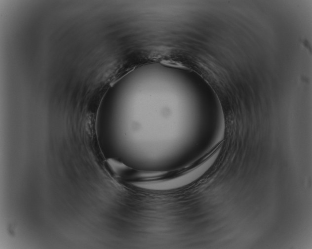 X0000091720280200709071443