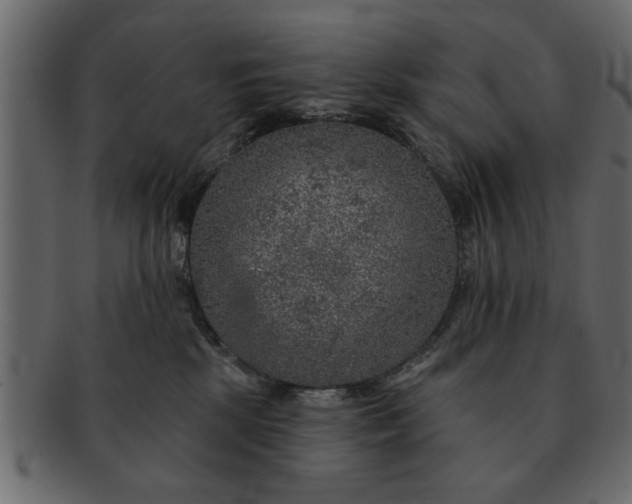 X0000091720281200709071443