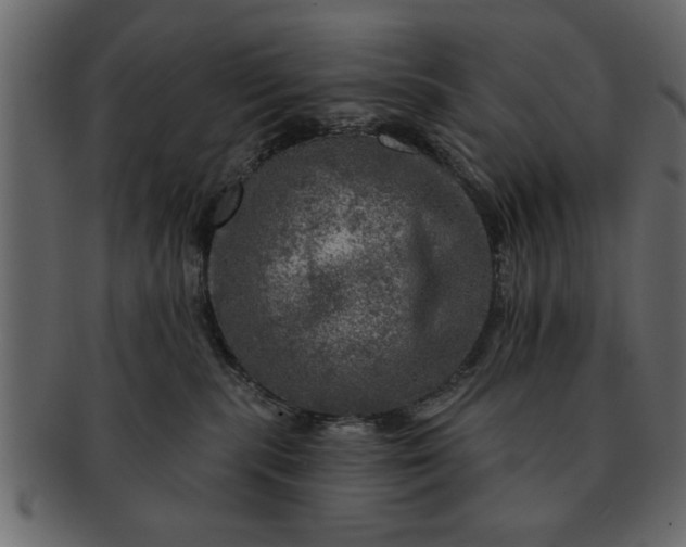 X0000091720283200709071443