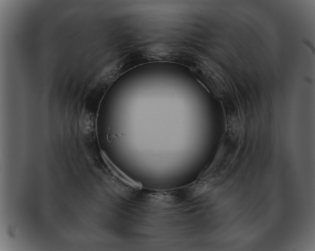 X0000091720284200709071443