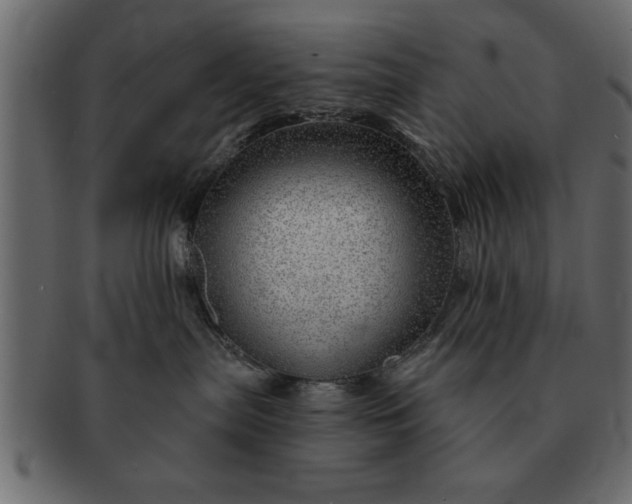 X0000091720287200709071443