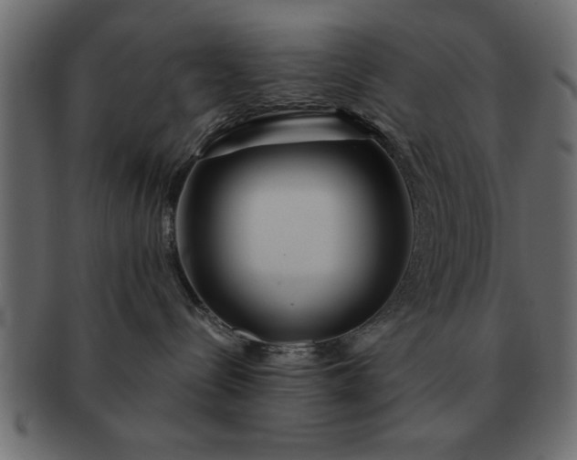 X0000091720288200709071443