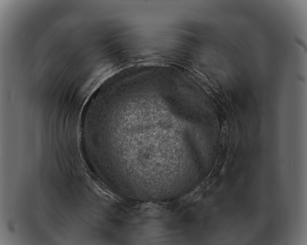 X0000091720290200709071442