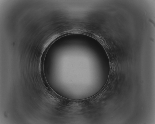 X0000091720292200709071442