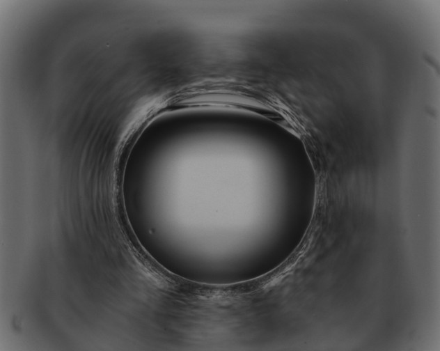 X0000091720293200709071442