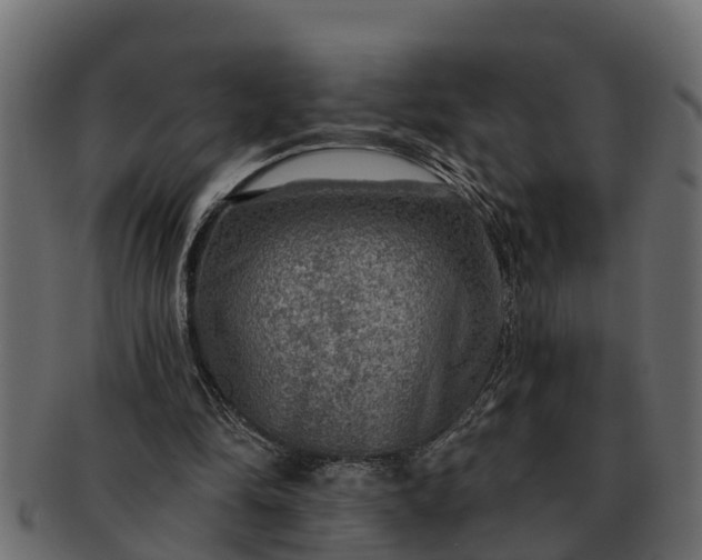 X0000091720294200709071442