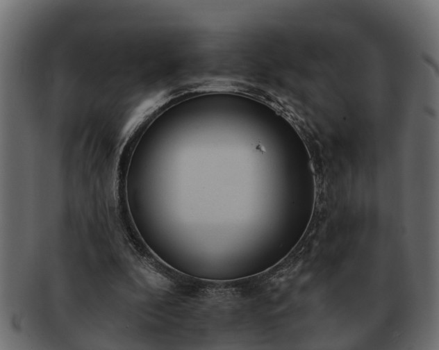 X0000091720296200709071442