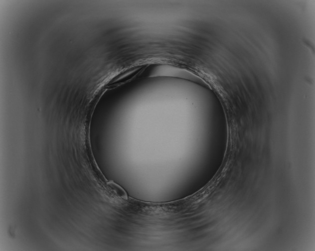 X0000091720297200709071442