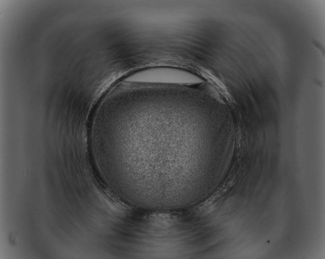 X0000091720298200709071442