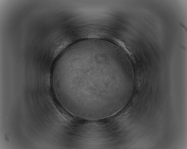 X0000091720299200709071442