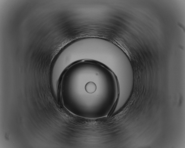 X0000091720301200709071442