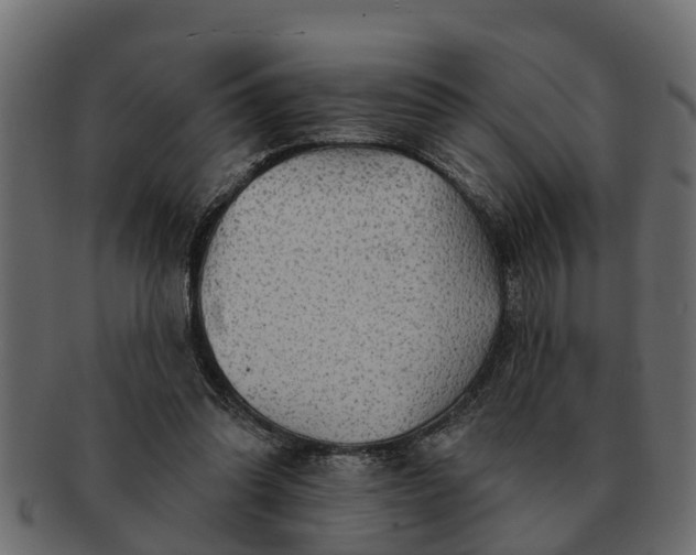 X0000091720302200709071442