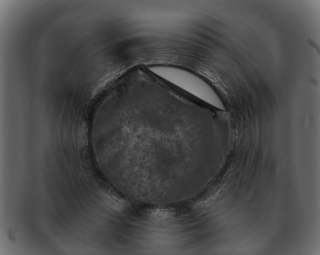 X0000091720303200709071442