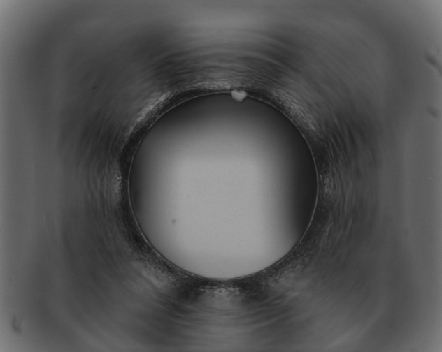 X0000091720304200709071442