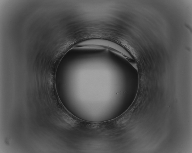 X0000091720305200709071442