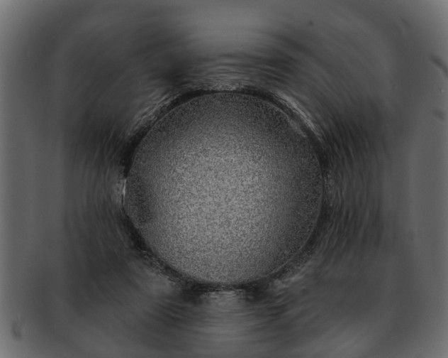 X0000091720307200709071442