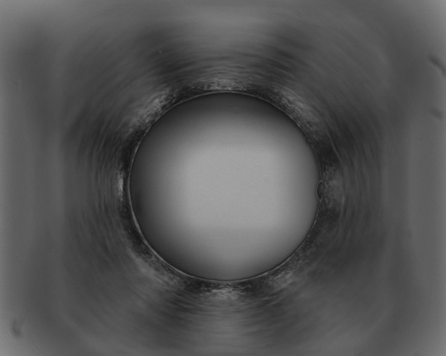 X0000091720310200709071442